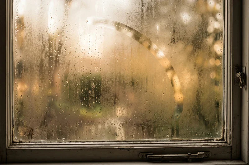 Brain Fog Is Not a Mood. It's Inflammation.