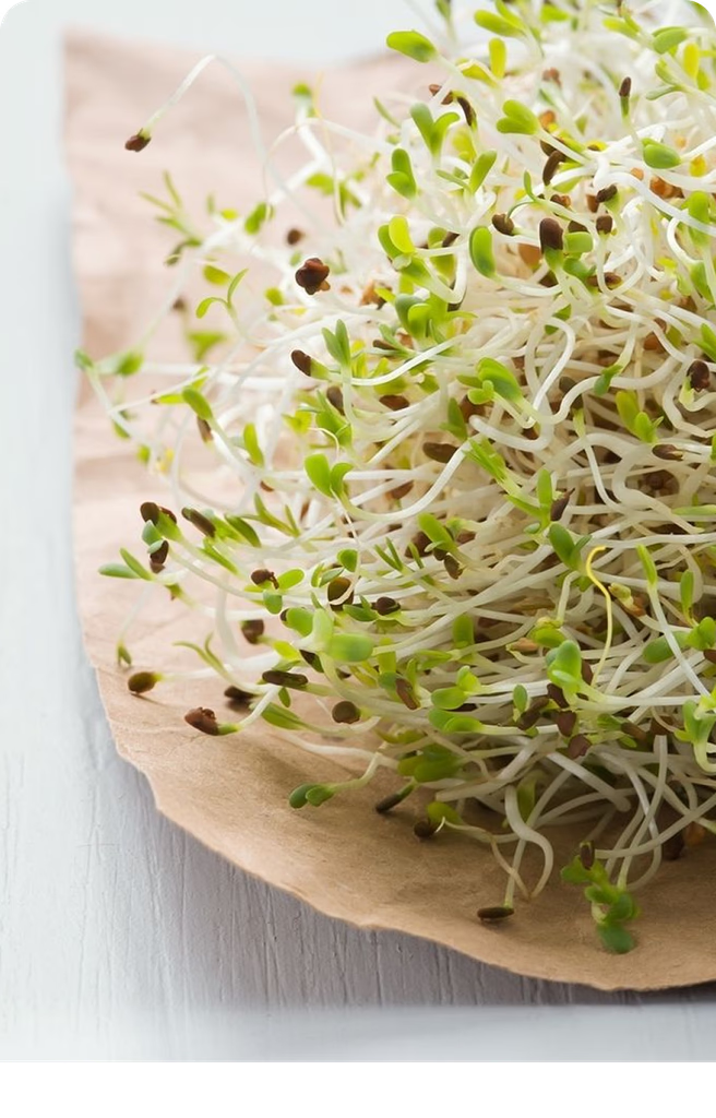 Ingredient Image 3
