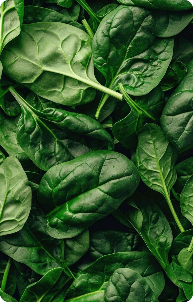 Ingredient Image 6