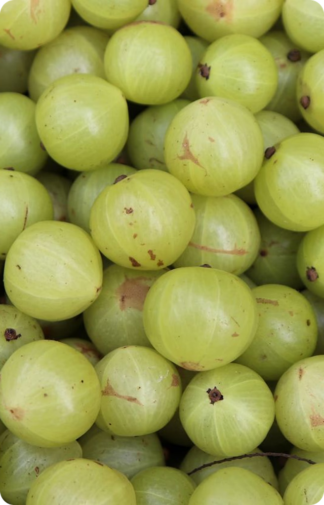 Ingredient Image 3